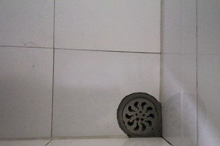 怎么疏通家里水管道(怎么疏通家里的水管)