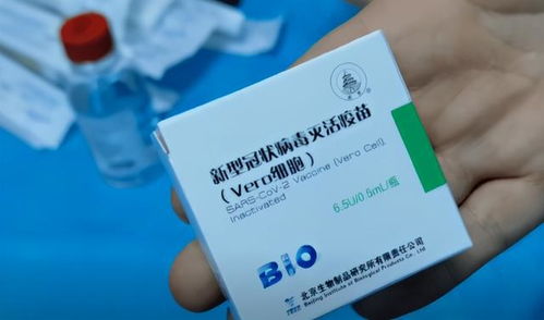 管道疏通剂吊顶怎么用(管道疏通剂的工作原理)