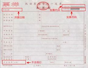疏通管道发票编码怎么填(管道疏通怎么开票)