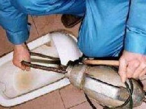 菜污管道堵塞怎么疏通(菜堵住下水道怎么办)