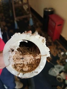 水垢管道堵塞怎么疏通的(水垢管道堵塞怎么疏通的快)