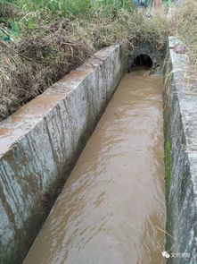 水渠堵了怎么疏通管道(水渠漏水)