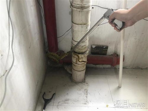 排水蛇疏通管道怎么使用(蛇形管道疏通器)