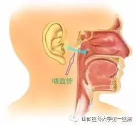 消化管道堵塞怎么疏通(消化道堵塞怎么办)