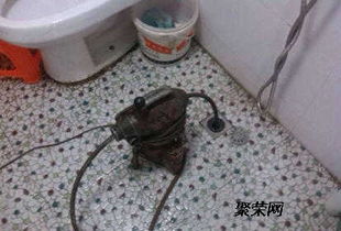 蟑螂管道疏通器怎么用(蟑螂堵下水道)