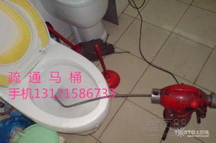 马桶有活物怎么疏通管道(马桶里出现活物)
