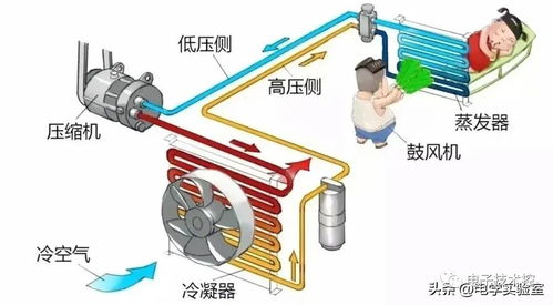 氮气炮疏通管道怎么用(氮气炮结构图)