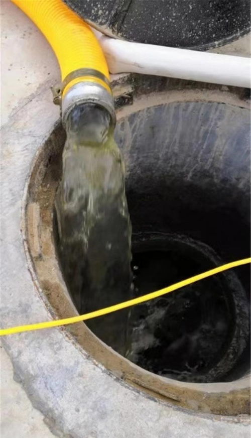 老鼠下水怎么疏通管道的(老鼠下水管道爬上来吗)