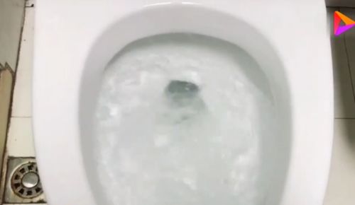 粑粑堵了管道怎么疏通(粑粑堵马桶怎么处理)