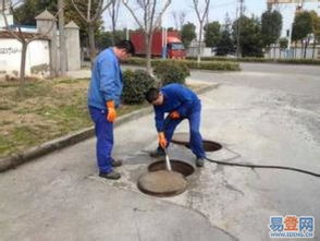 树叶堵死管道怎么疏通(树叶堵住下水道怎么办)