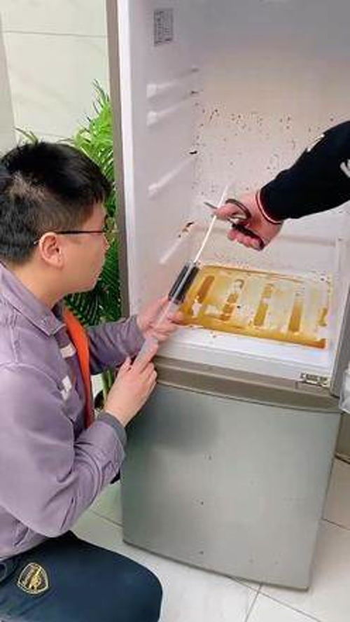 冰箱堵啦怎么疏通管道(冰箱堵住了怎么疏通)