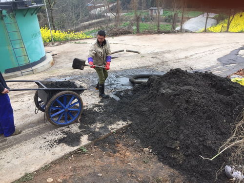 管道内淤泥草根怎么疏通(管道清淤淤泥处理)