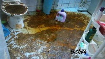 棍子疏通管道怎么用(棍子掉到下水道怎么办)
