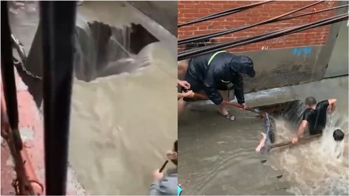 管道掉入玩具怎么疏通(管道里掉了东西怎么取出来)