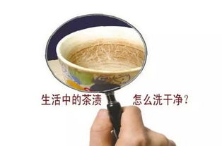 茶垢堵塞管道怎么疏通(茶垢用什么处理)