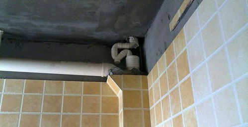 疏通主管道怎么要钱(疏通主水管费用)