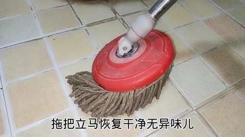 拖把头怎么疏通管道(拖把头脏了怎么能清洗干净)