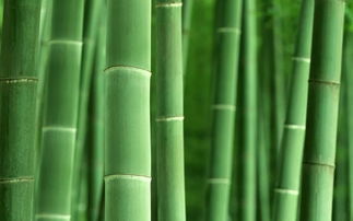 竹块怎么疏通管道(怎么打通竹子内部)
