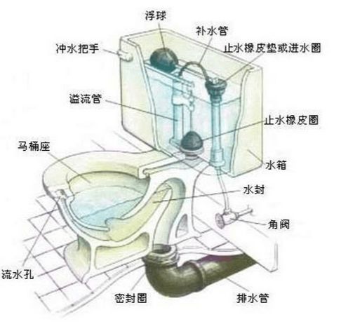疏通马桶管道怎么拆卸(拆开马桶疏通)