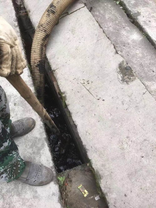 管道疏通黄鳝怎么处理(水管抓黄鳝)