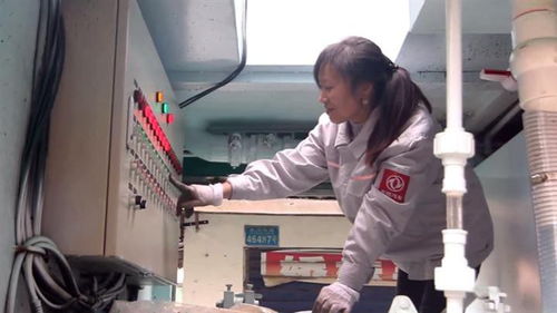 怎么疏通粪便管道堵塞(怎么疏通大便)