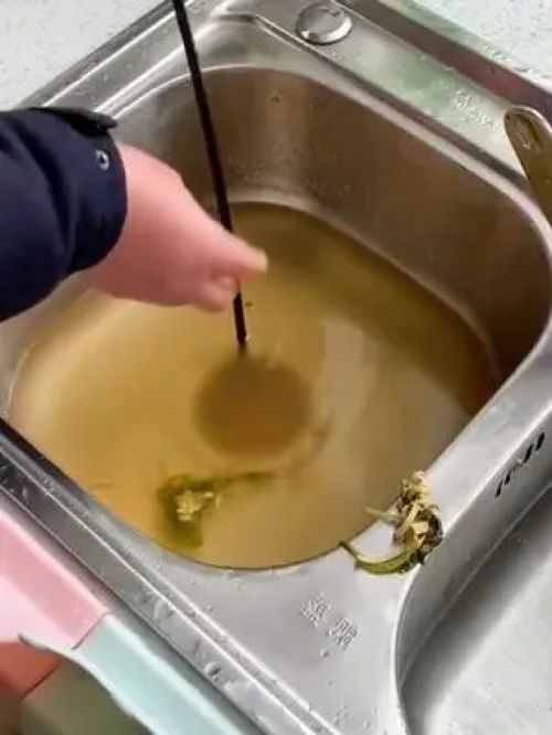 在家管道怎么疏通最快(家里管道怎么疏通)