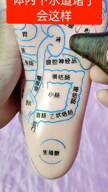 体内怎么疏通管道(怎样管道疏通)
