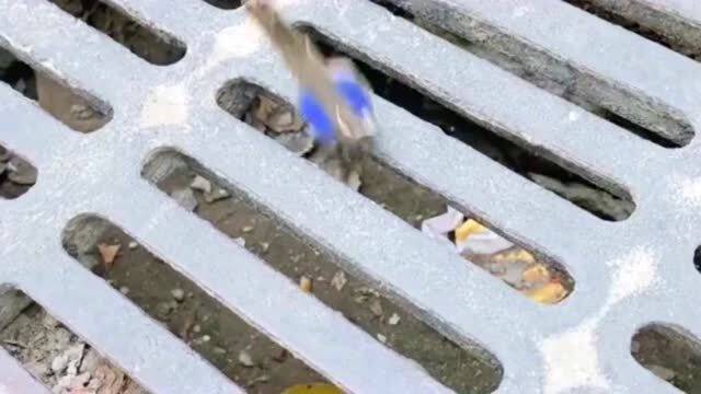 水池怎么疏通管道(水池水管堵了用什么疏通)